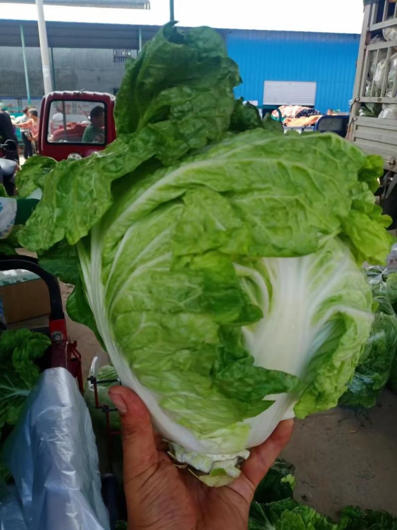 精品小包基地新鲜供应量市场，平台。库存，大量现
