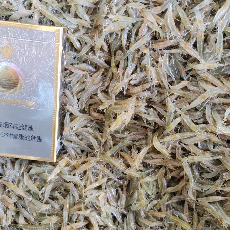 活力四射的小米虾