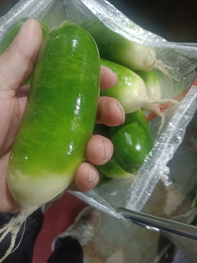 湖北精品水果萝卜，水洗青萝卜货源充足价格实惠代发全国