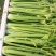 精品芹菜/大量现货价格便宜/对接超市批发市场等/全国发货