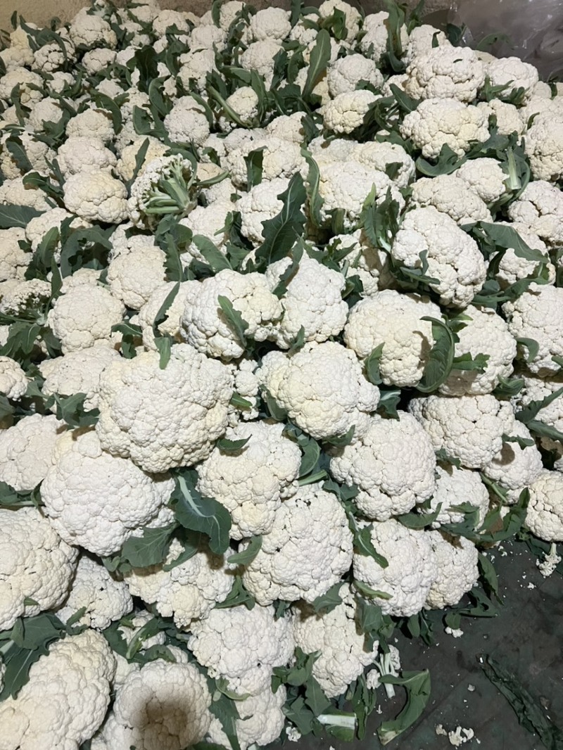 白花菜，菜花，青梗菜花，散花，青梗散花