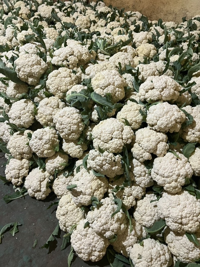 白花菜，菜花，青梗菜花，散花，青梗散花