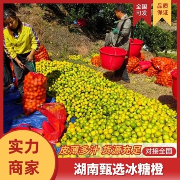 冰糖橙【电商直播美团社区批发】产地直发品质保证