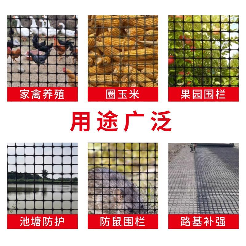 塑料围栏网鸡鸭鹅围网荷兰网养殖网圈地大棚防水网防鸟