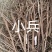 小叶千斤拔药材供应产地一手货源