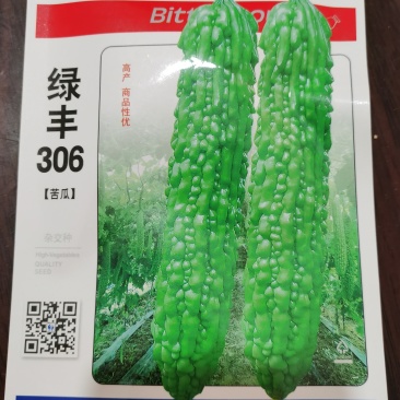 绿丰875种子杂交品种分枝能力优质持续结瓜