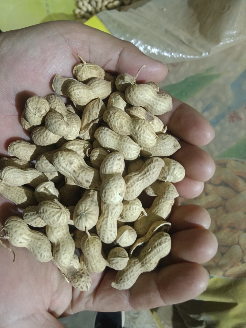 产区精品花生，价格不高