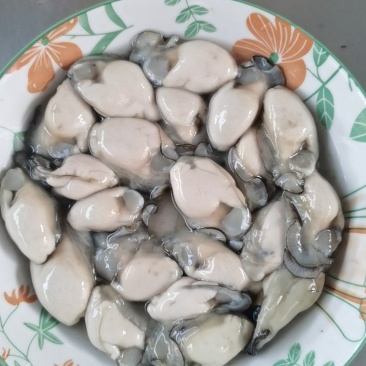 新鲜生蚝肉海蛎子肉餐饮饭店批发40-50只/斤