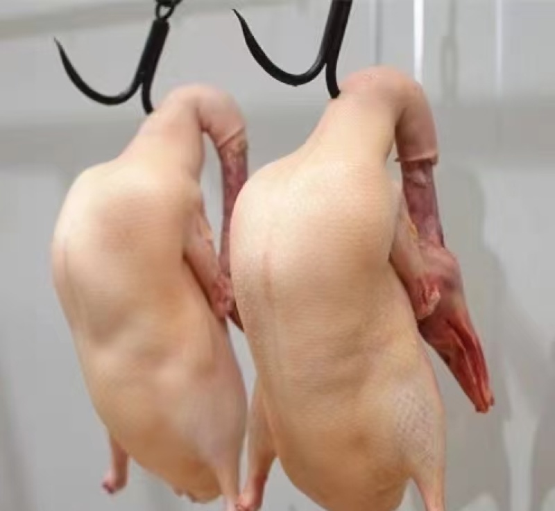 烤鸭胚