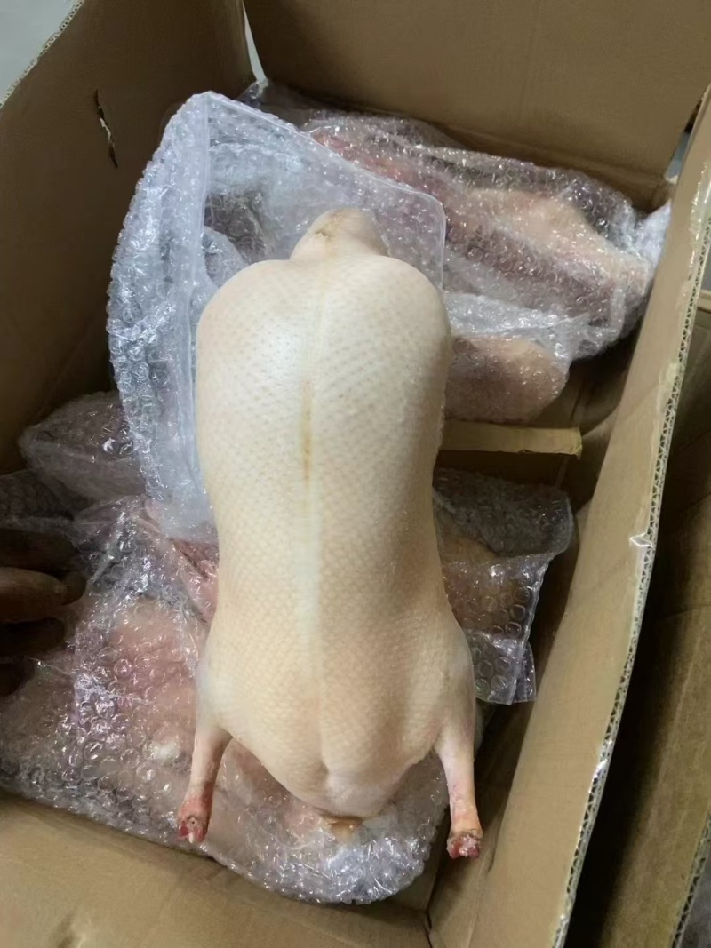 烤鸭胚