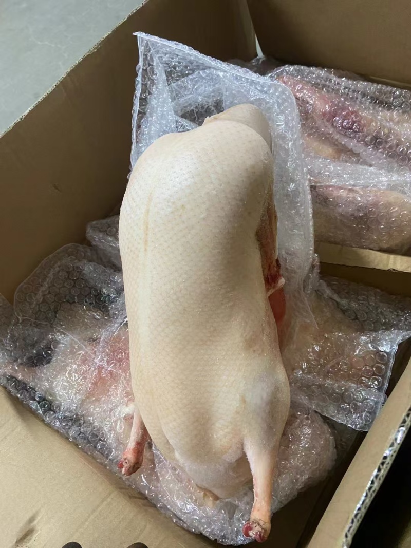 烤鸭胚