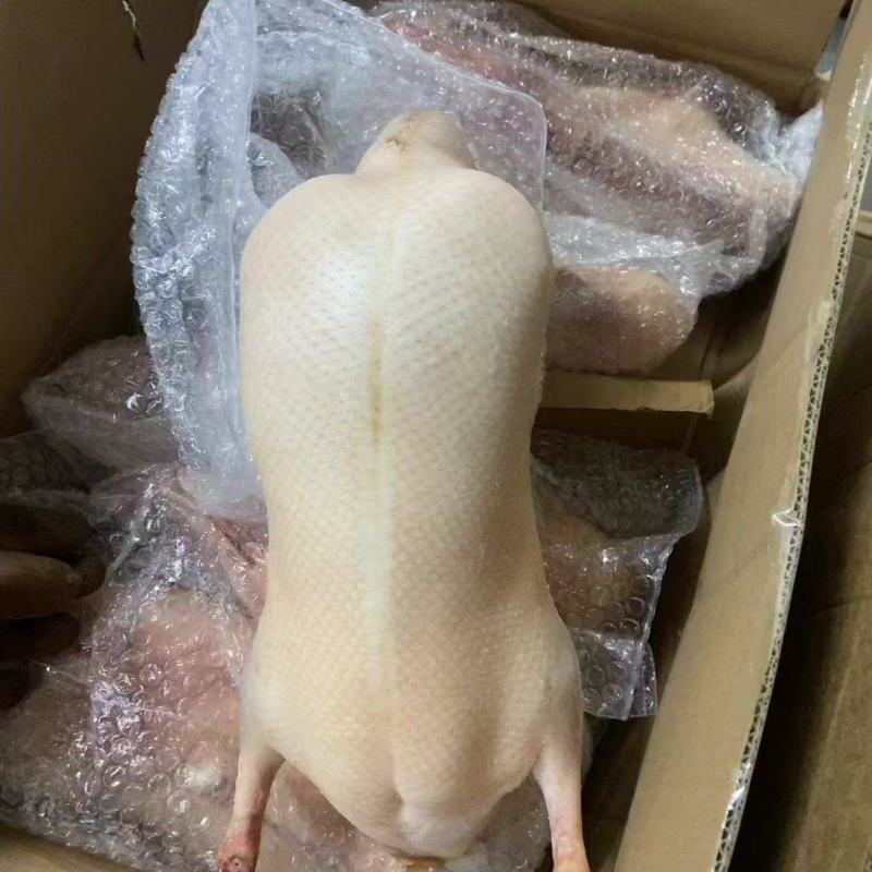 烤鸭胚