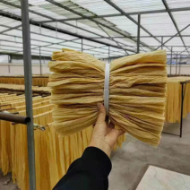 豆腐皮地摊豆腐皮大豆制品