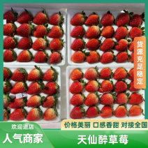 精品天仙醉草莓，按需包装，质量保证，价格可谈