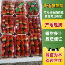 精品天仙醉草莓、品质保证，按需包装，一条龙服务