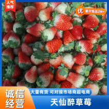 精品天仙醉草莓，按需包装，一条龙服务，价格可谈