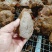 牛肉味卤肉，摆摊、超市，食堂专用，品质至上，工厂免费发样