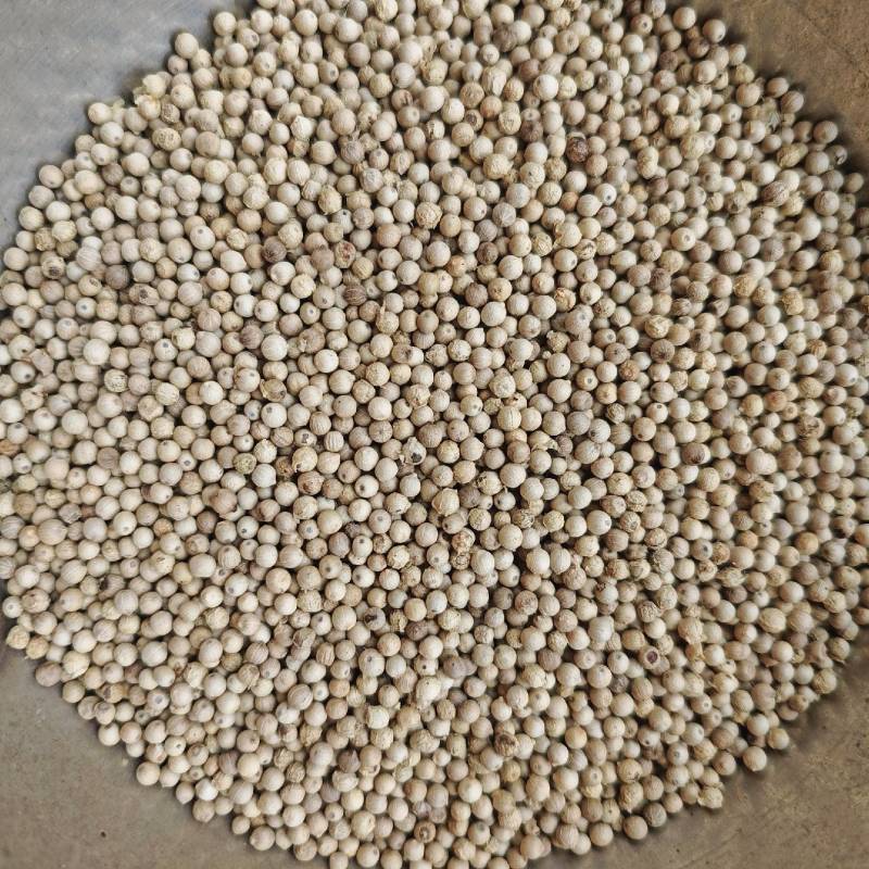 越南白胡椒自有加工厂没有中间商赚差价保质保量零售批发