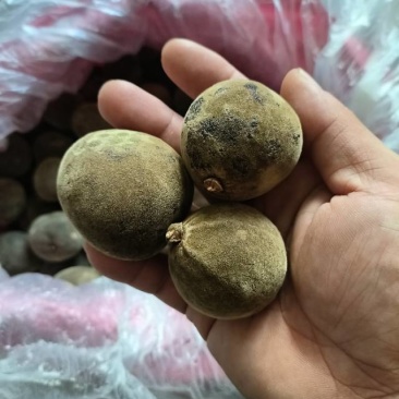 精选化州橘红正品保证，假一赔十，价格实惠，量大从优