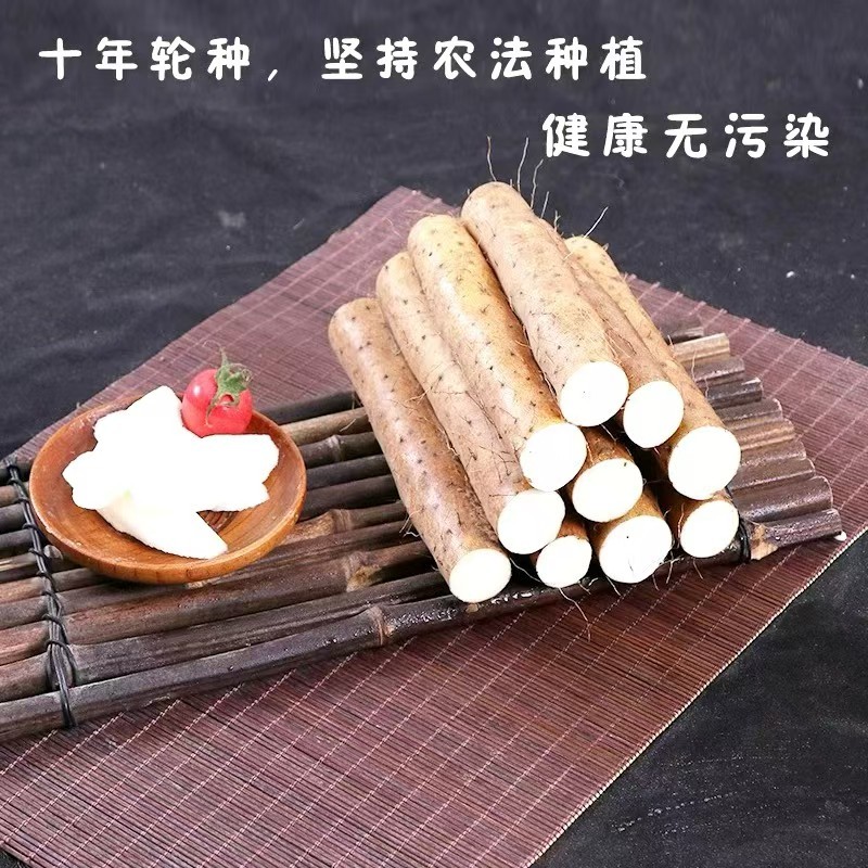 河北铁棍山药一手资源产地直发保障品质