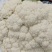 精品有机花、产地直供、货源充足、质量保证、
