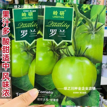 罗兰绿番茄种子阿卡莎苹果柿子绿色西红柿种子贼不偷番茄种籽