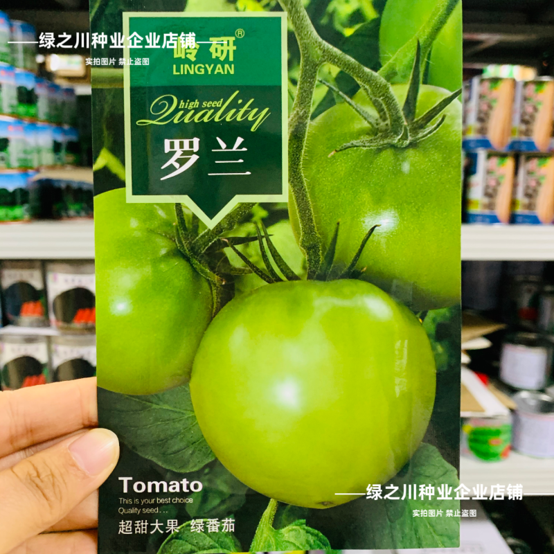 罗兰绿番茄种子阿卡莎苹果柿子绿色西红柿种子贼不偷番茄种籽