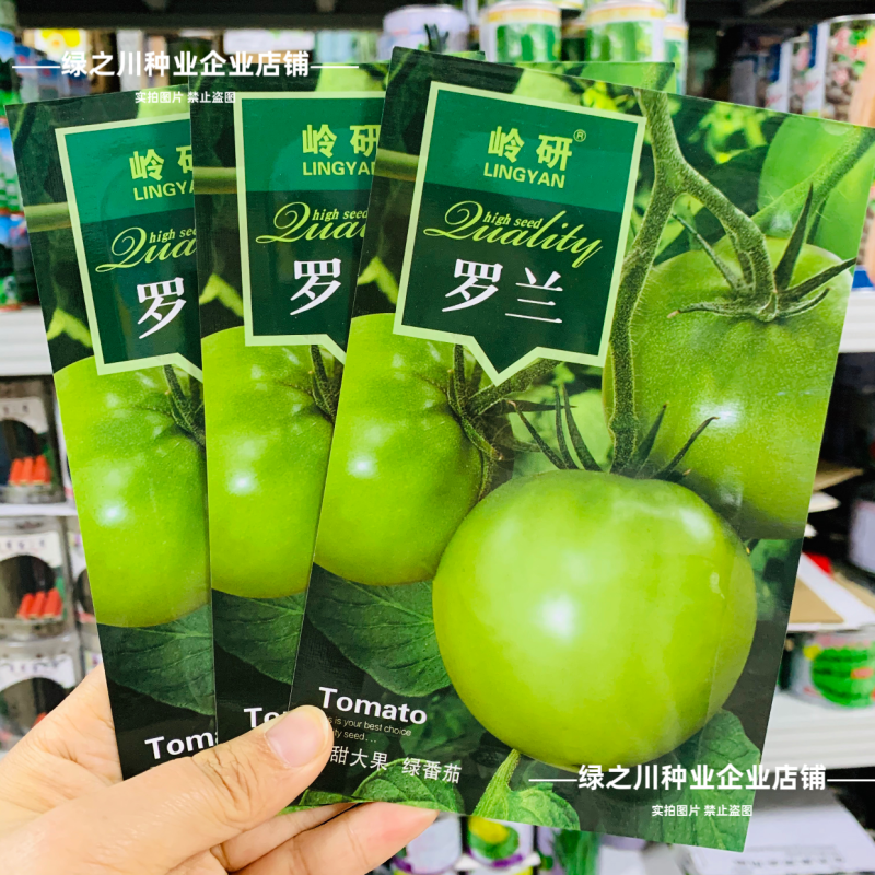 罗兰绿番茄种子阿卡莎苹果柿子绿色西红柿种子贼不偷番茄种籽