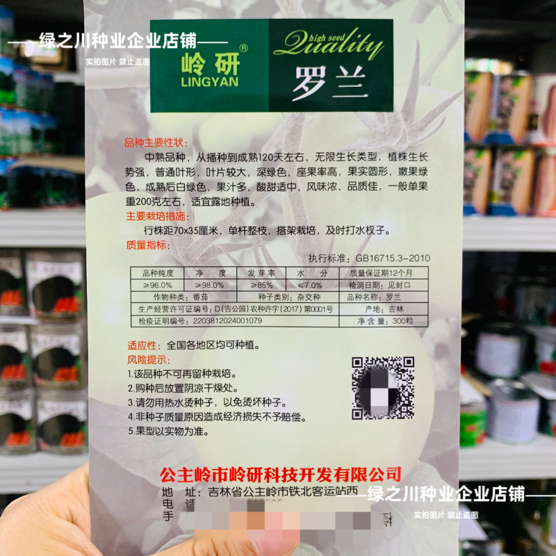 罗兰绿番茄种子阿卡莎苹果柿子绿色西红柿种子贼不偷番茄种籽