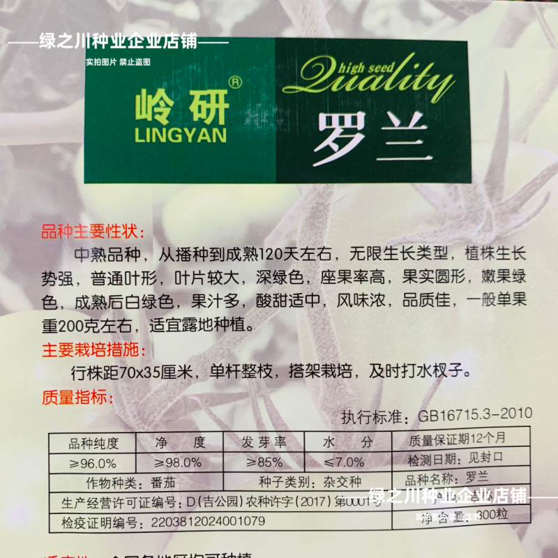 罗兰绿番茄种子阿卡莎苹果柿子绿色西红柿种子贼不偷番茄种籽