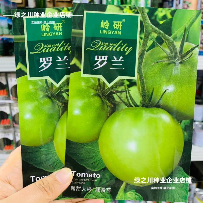 罗兰绿番茄种子阿卡莎苹果柿子绿色西红柿种子贼不偷番茄种籽