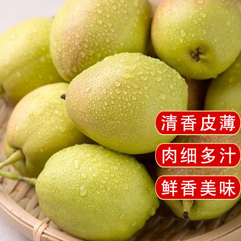 【精选】香梨新疆正宗库尔勒香梨清香皮薄多汁新鲜采摘