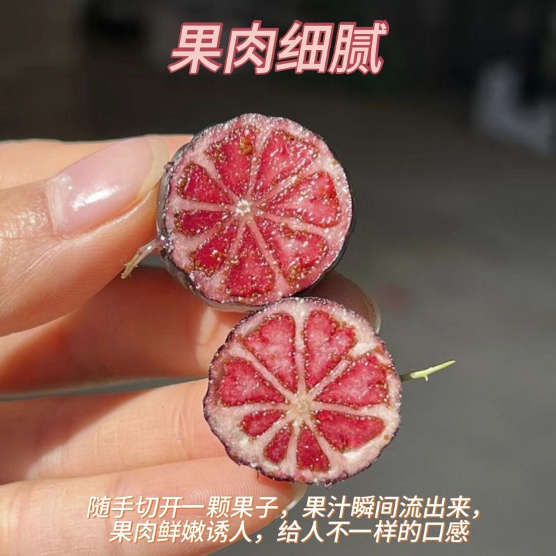 一件代发云南高山新鲜红果参蜘蛛果鲜果大果当季稀有水果