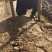 【新疆白玉山药】万亩基地批发一手货源品质保证货源充