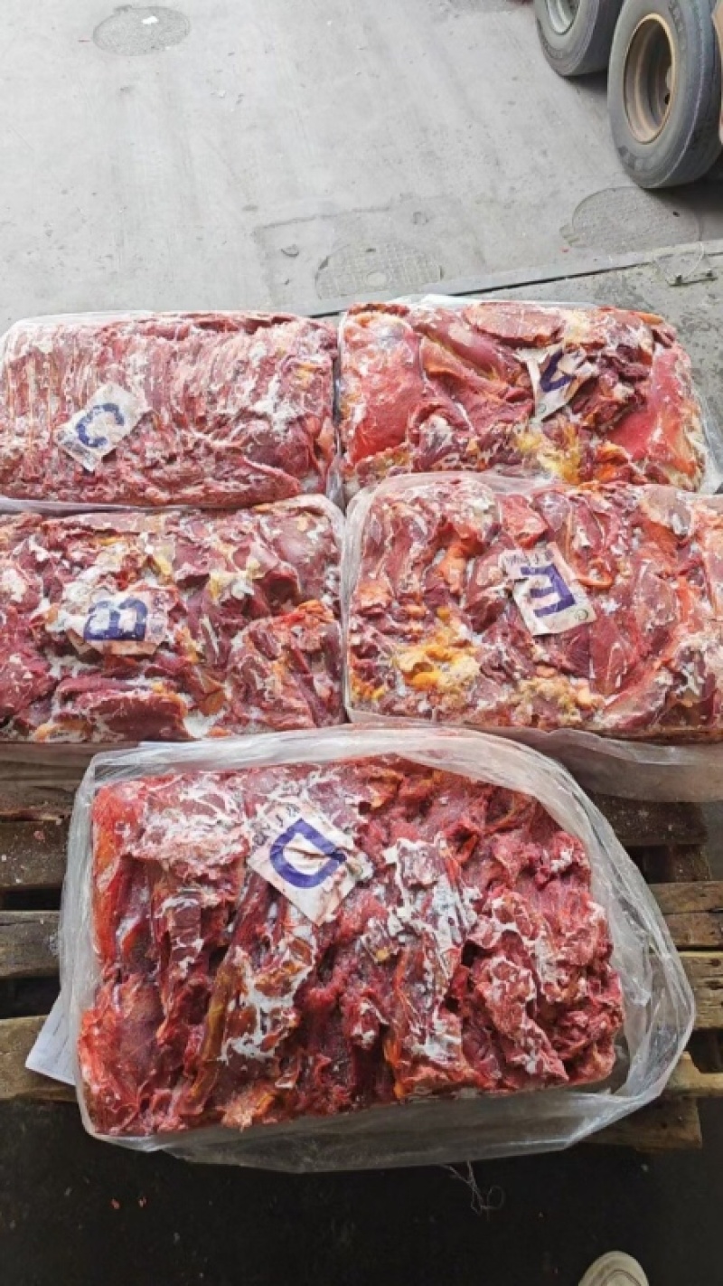 河南马肉，厂家直销，对接各类市场，支持视频看货