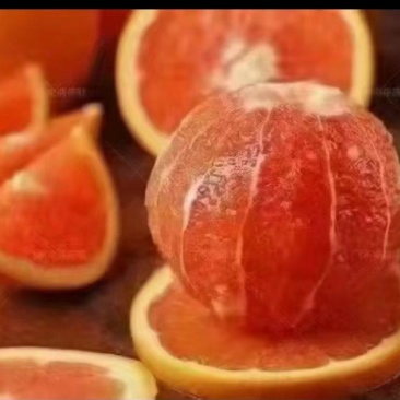 卡拉红肉脐橙好吃的见