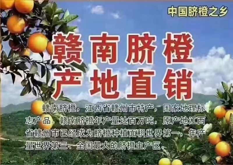 江西省信丰赣南脐橙，原产地直发一件代发九省包邮