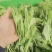 豌豆尖，一叶一包豌豆尖