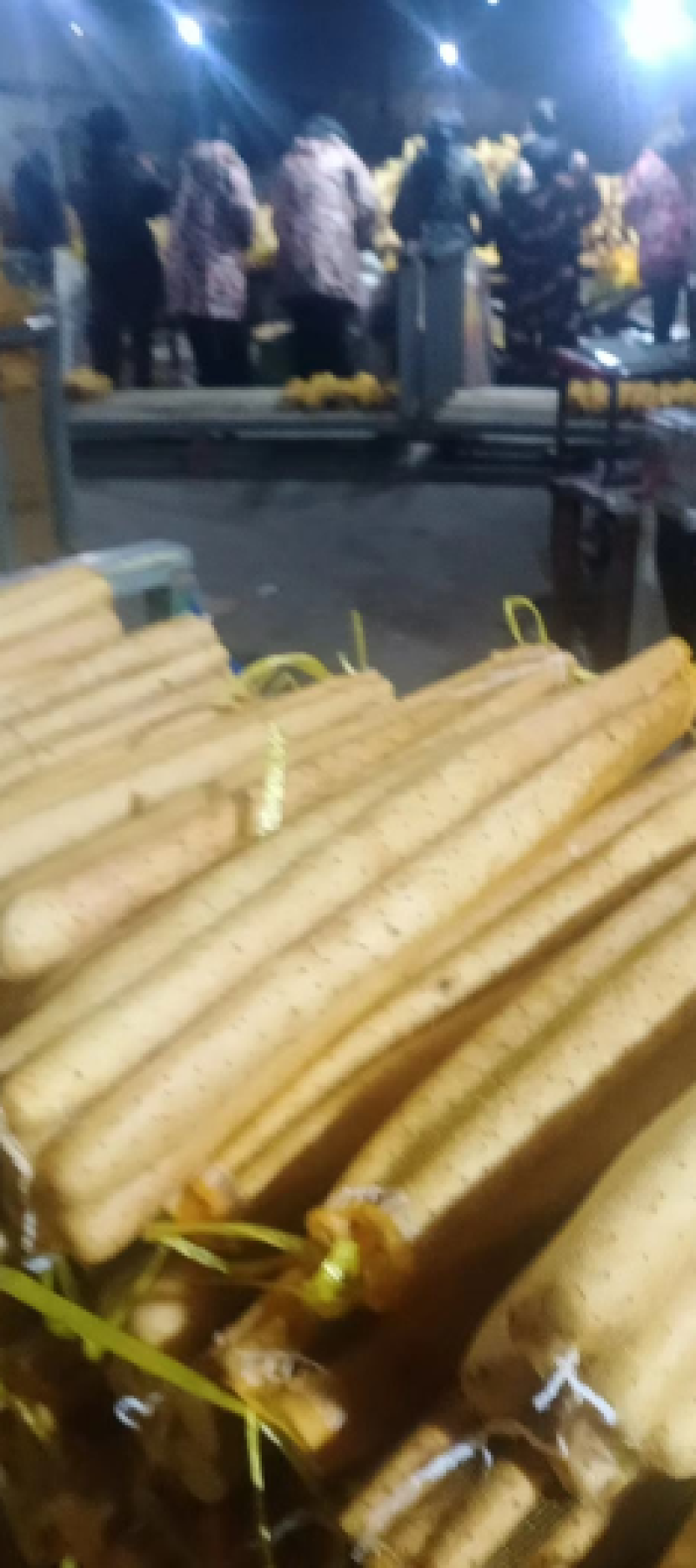 小白嘴山药，大量上市，价格美丽，对接全国，欢迎咨询