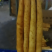 小白嘴山药，大量上市，价格美丽，对接全国，欢迎咨询