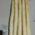 小白嘴山药，大量上市，价格美丽，对接全国，欢迎咨询