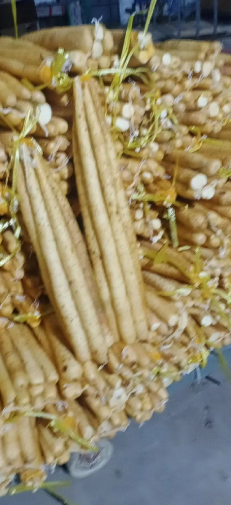 小白嘴山药，大量上市，价格美丽，对接全国，欢迎咨询