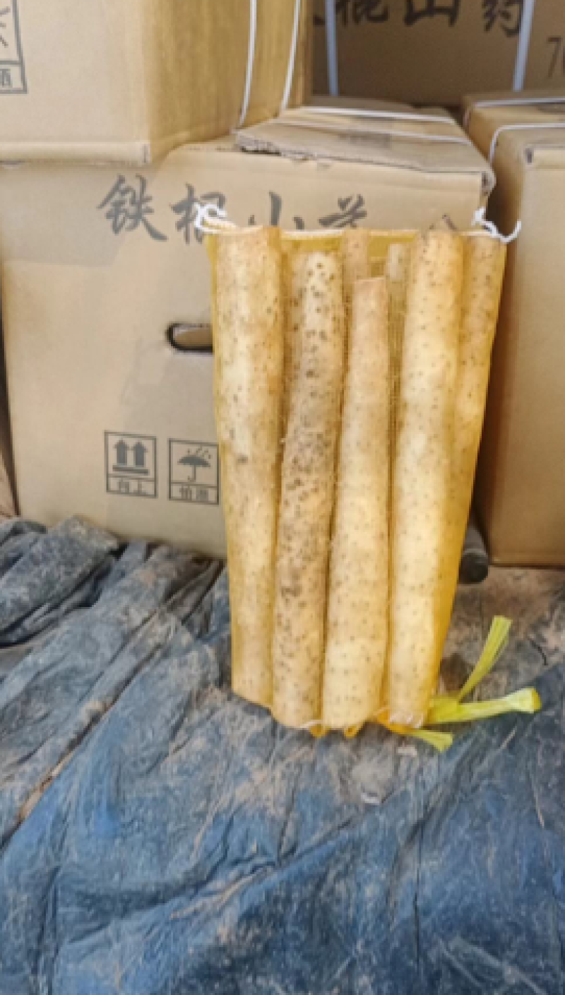 小白嘴山药，大量上市，价格美丽，对接全国，欢迎咨询
