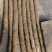 小白嘴山药，大量上市，价格美丽，对接全国，欢迎咨询