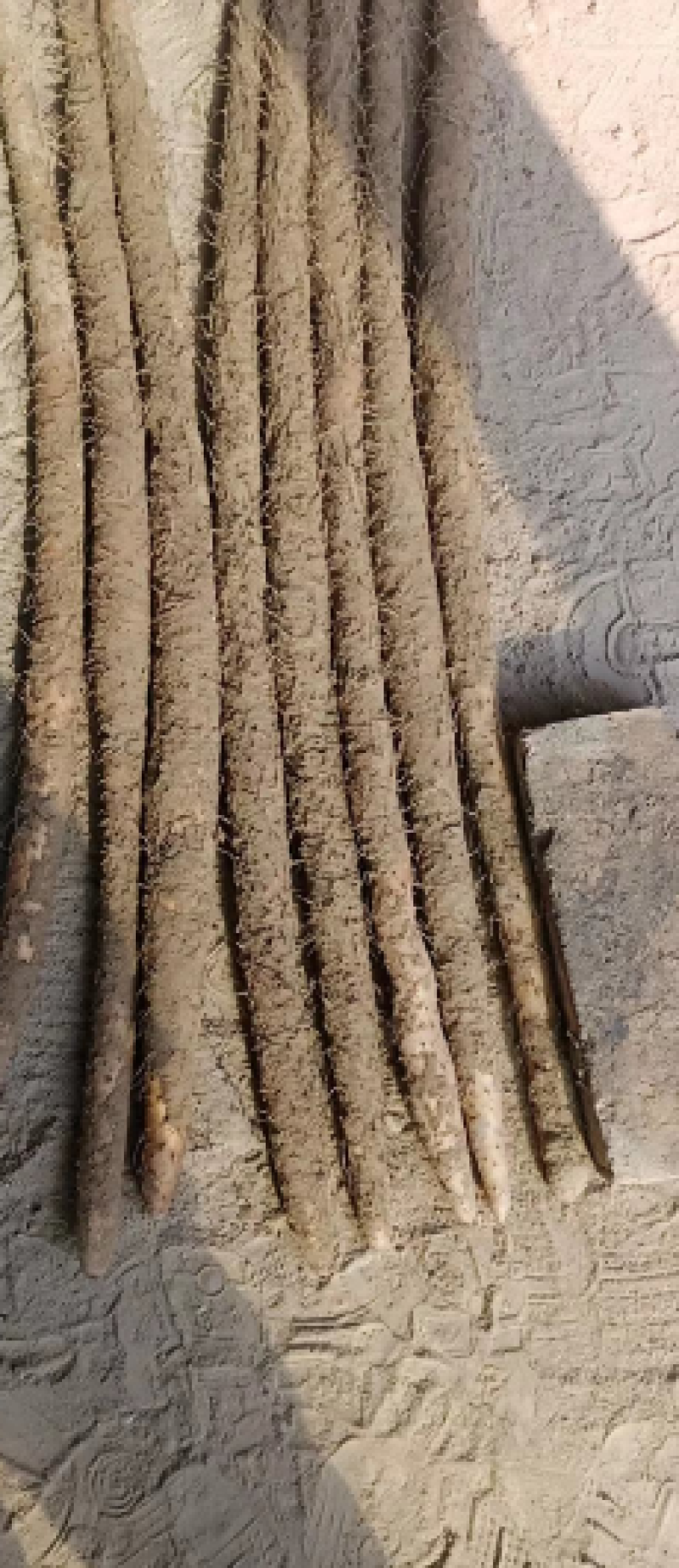 小白嘴山药，大量上市，价格美丽，对接全国，欢迎咨询