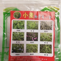 小麦除草剂小麦苗后除草剂4合一专杀阔叶草正品保证假一赔三