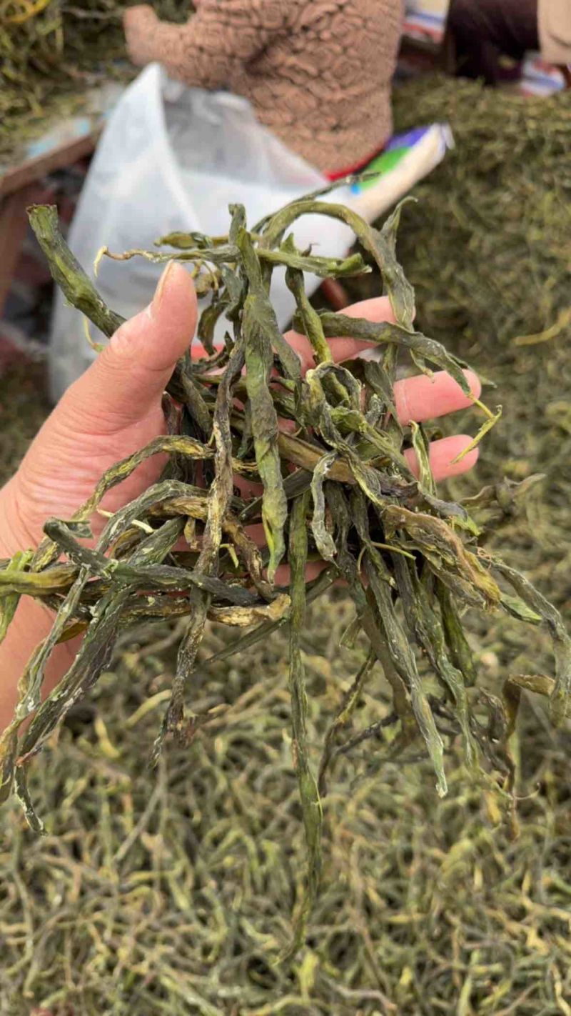 架豆王