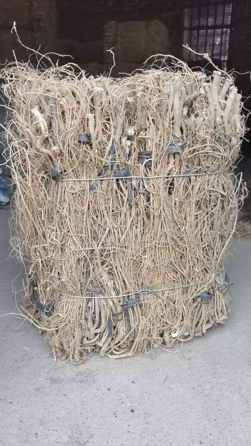 +无硫石参根