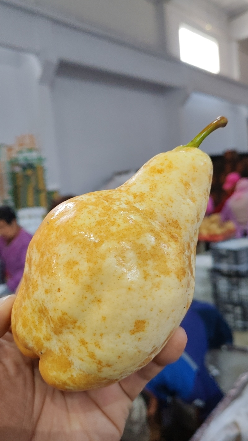 【一件代发】冰激凌蜜香丑梨一件代发非中华丑梨烟台产地直发