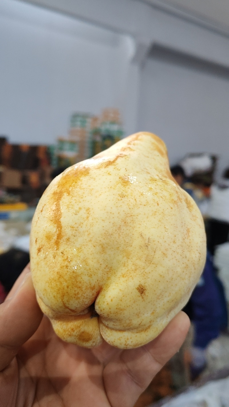 【一件代发】冰激凌蜜香丑梨一件代发非中华丑梨烟台产地直发